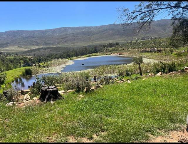 FARM FOR SALE IN GEORGE RURAL